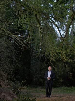  Silent Friend posteri