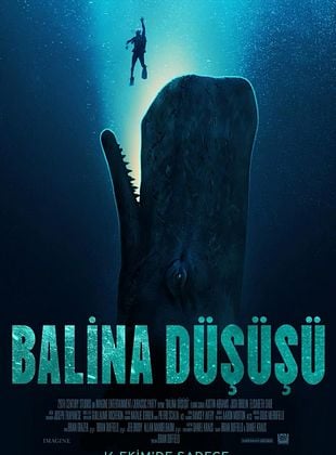  Balina Düşüşü