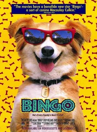 Kahraman Köpek Bingo