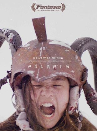  Polaris