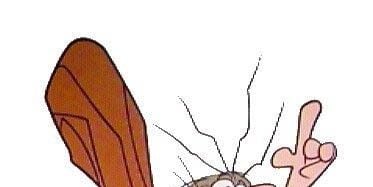 The Kooky Case of the Cryptic Keys posteri