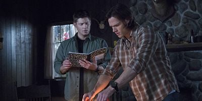 Survival of the fittest posteri