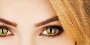 All Apologies posteri