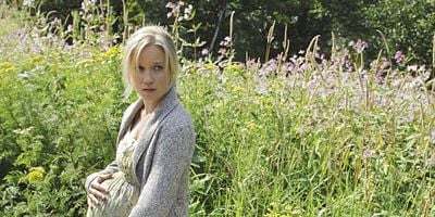 The Price of Gold posteri