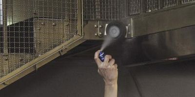 The Three Bears posteri