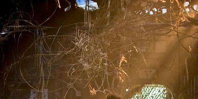 Unfinished Business posteri