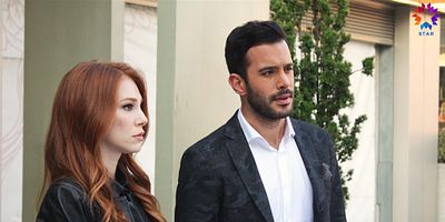Kiralık Aşk 22.Bölüm posteri