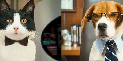 Eşkiya Dünyaya Hükümdar Olmaz 12.Bölüm posteri