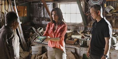 The Harmful One posteri