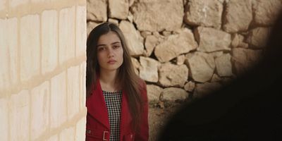 Karagül 104.Bölüm posteri