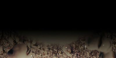 The Lord's Day posteri