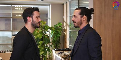 Kiralık Aşk 33.Bölüm posteri