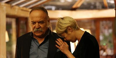 İçerde 29.Bölüm posteri