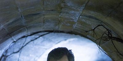 The Waking Dream posteri