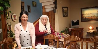 Aslan Ailem 5.Bölüm posteri