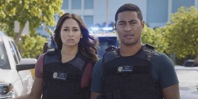 O Ka Mea Ua Hala, Ua Hala Ia posteri