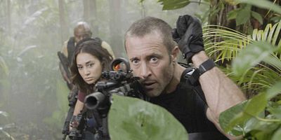 He pūkoʻa kani ʻāina posteri