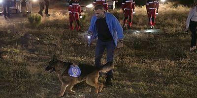 Arka Sokaklar 487.Bölüm posteri