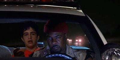 Steered Straight posteri