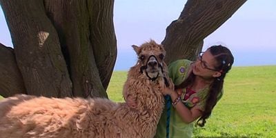 People Auction posteri