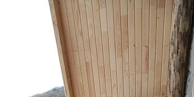 Kuzey Yıldızı İlk Aşk 42.Bölüm posteri