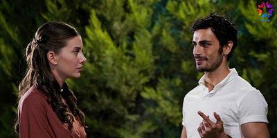 Ada Masalı 14.Bölüm posteri