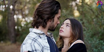 Ada Masalı 17.Bölüm posteri