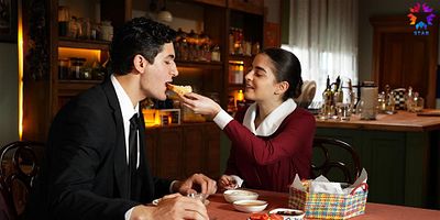 Yalı Çapkını 11.Bölüm posteri