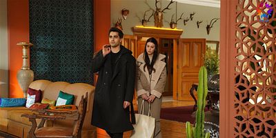 Yalı Çapkını 19.Bölüm posteri