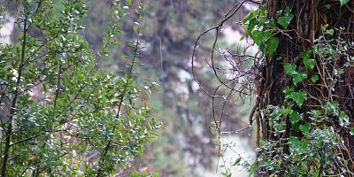 Dokuz Oğuz 3.Bölüm posteri