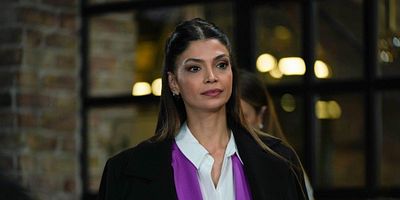 Bir Küçük Gün Işığı 23.Bölüm posteri