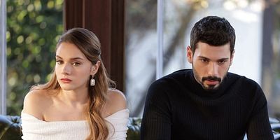 Hudutsuz Sevda 22.Bölüm posteri