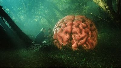 Cate Blanchett'lı Korku - Komedi Filmi "Rumours"tan İlk Fragman! haber görseli