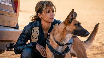 Halle Berry "John Wick" Serisine Geri Dönecek mi? haber görseli