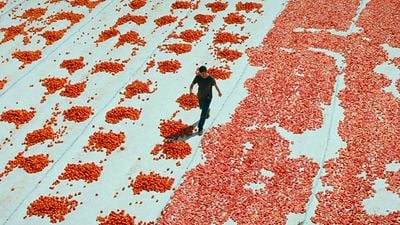 İstanbul Modern Sinema'da "Biz de Varız!" haber görseli