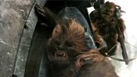 Sith'e Kapı Arasından Bakmak haber görseli