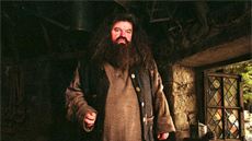 Hagrid'siz Hogwarts