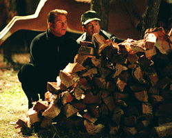 Toronto'da  Herşey Yolunda haber görseli