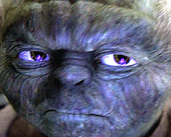 Korsana Karşı Yaptırımlar Genişletildi haber görseli