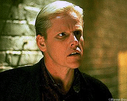 Busey Kurtlar Vadisi'nde haber görseli