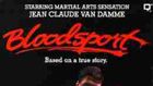 Van Damme, Blade'i Zorluyor haber görseli