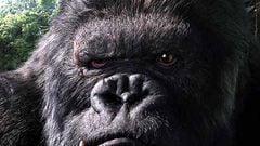 Uzun Uzun Kong haber görseli