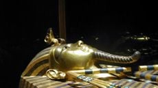 Tutankamon'un Mezarı Açılıyor haber görseli