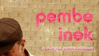 Pembe İnek Seul'de Türkiye'yi temsil ediyor! haber görseli