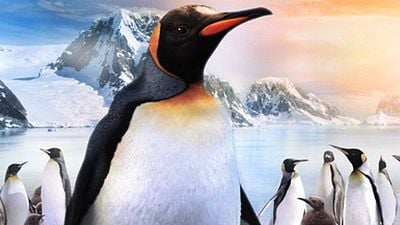 Pek Yakında: Penguen Kral haber görseli