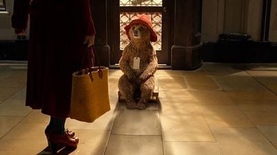 Ayı Paddington'dan Türkçe Dublajlı Fragman! haber görseli