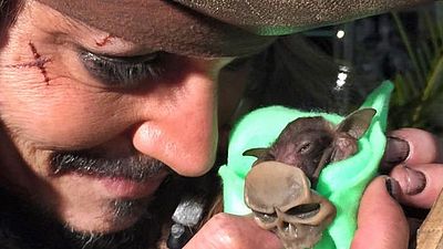 Jack Sparrow'un Can Dostu Artık Jackie! haber görseli