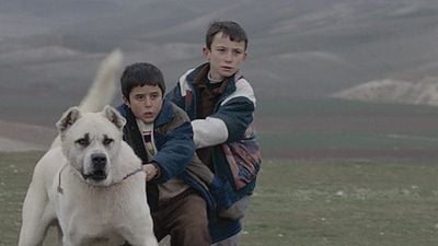 "Sivas" Filmi, Altın Küre'de! haber görseli