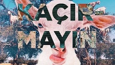 !f 2017 Festival Programı Açıklandı! haber görseli