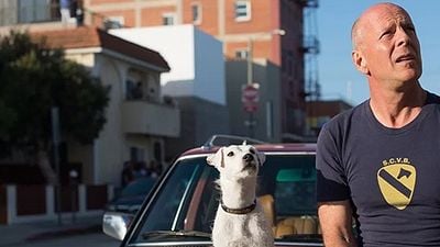 Bruce Willis Köpek, Jason Momoa Uyuşturucu Peşinde! haber görseli